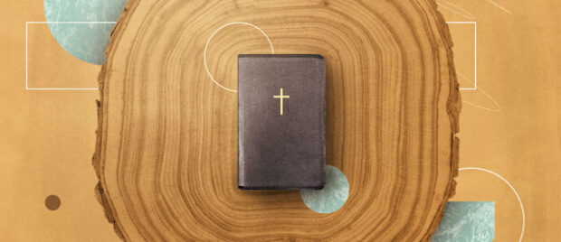 How-to-Read-Wisdom-Literature