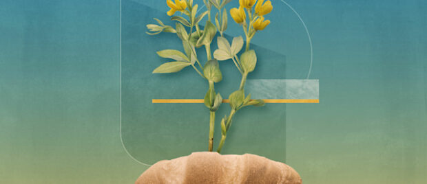 How-Is-Jesus-the-Bread-of-Life