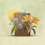 How-Can-I-Grow-in-My-Faith