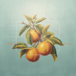 Jonathan Cruse - What-Is-the-Fruit-of-the-Holy-Spirit