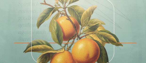 Jonathan Cruse - What-Is-the-Fruit-of-the-Holy-Spirit