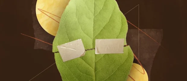 Teaching Our Children about Forgiveness