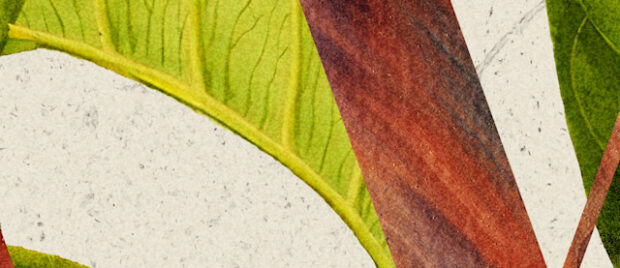 The Covenant of Works