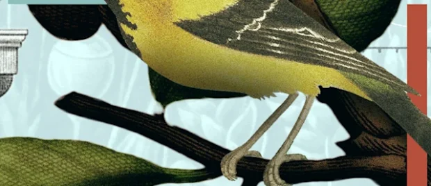 A Resolution for the Christian Life