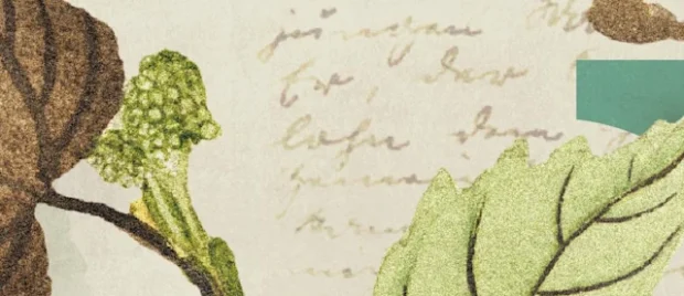 What Promise Did Jesus Give Before His Ascension?