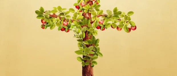 What Is Christian Maturity?